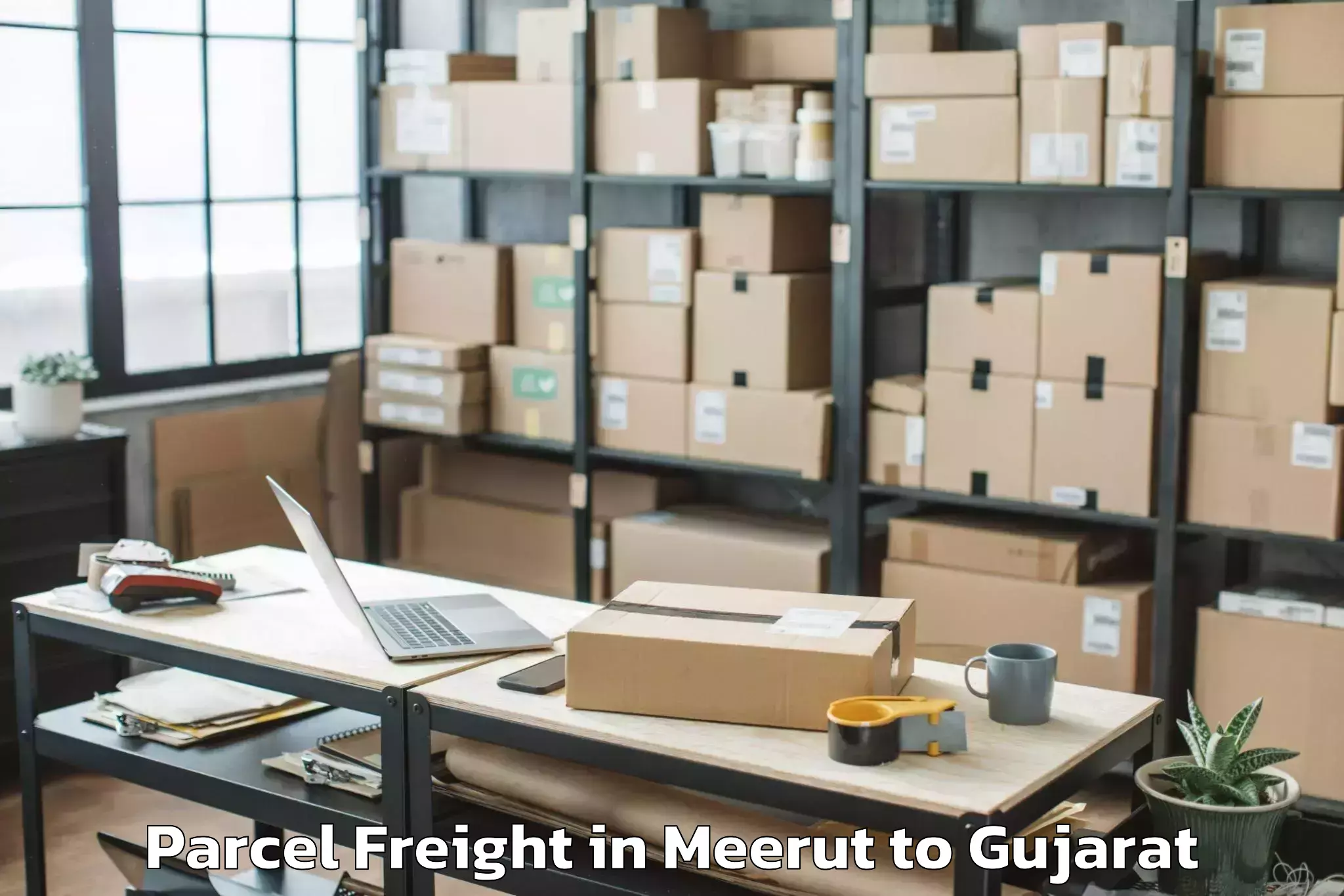 Quality Meerut to Vansada Parcel Freight